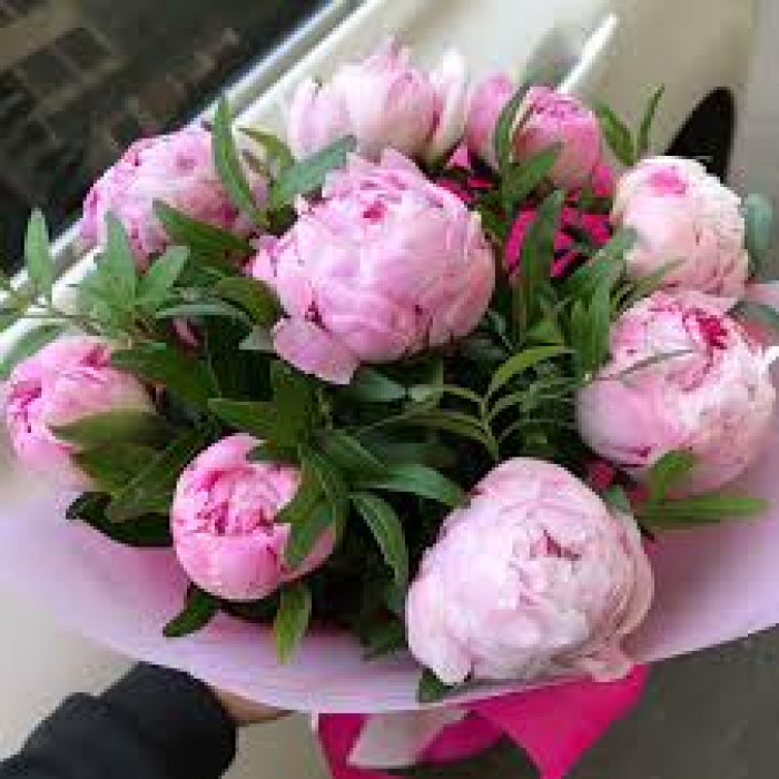 Пион древовидный в Кандыагаше