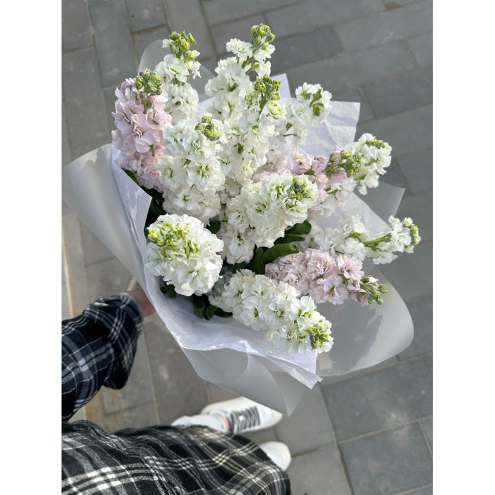 Маттиола в Кандыагаше