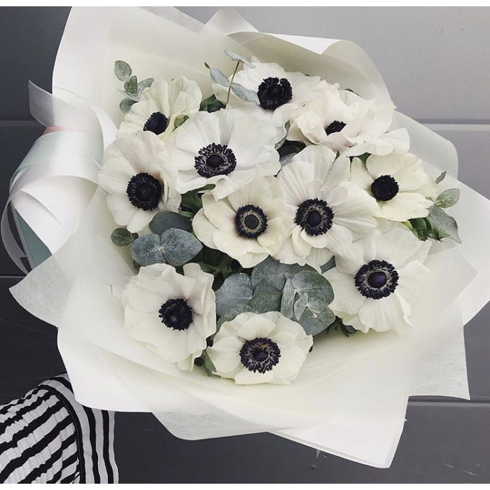 Анемоны в Кандыагаше