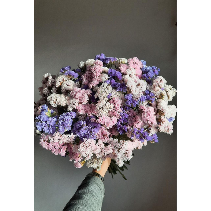 Статица (Лимониум) в Кандыагаше