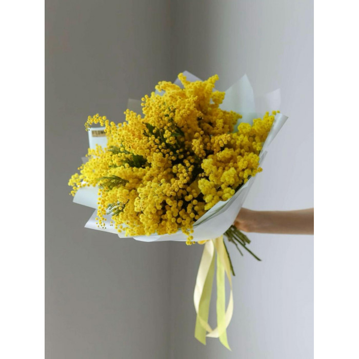 Мимоза в Кандыагаше