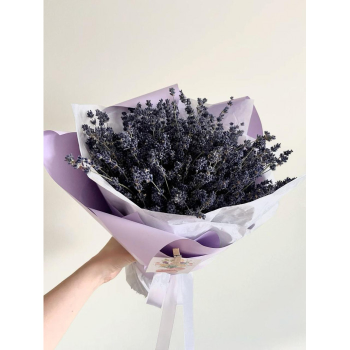 Лаванда в Кандыагаше