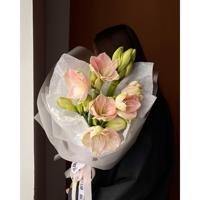 Амариллис в Кандыагаше