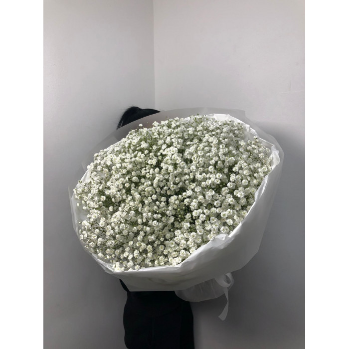 Гипсофила классическая в Кандыагаше