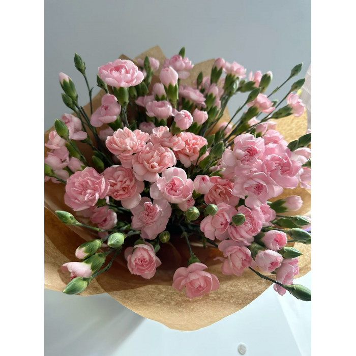 Кустовые гвоздики в Кандыагаше