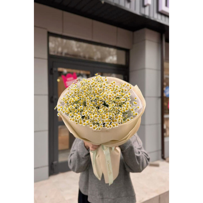 Танацетум в Кандыагаше