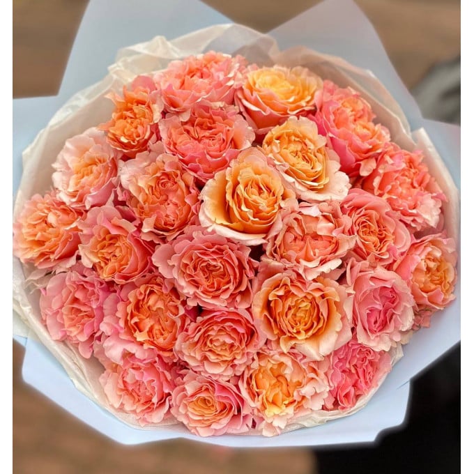 21 пионовидные розы 21 пионовидные розы