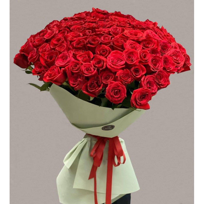 101 метровая роза 101 метровая роза